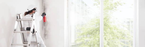 Biohazard Mold Removal in Flemington, NJ