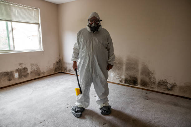 Best Biohazard Mold Removal  in Flemington, NJ